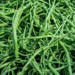 Radish Pods/ Moongray