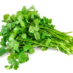 Coriander/Dhaniya