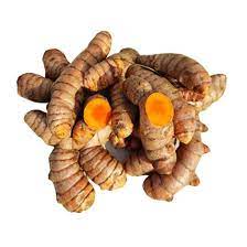 Haldi/ Turmeric