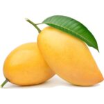 Mango / Aam (Sindhri)