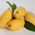 White Chaunsa / سفید چونسا